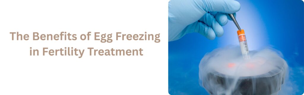 Egg Freezing